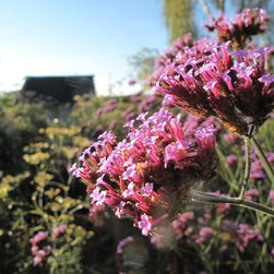 Planting - Garden Products