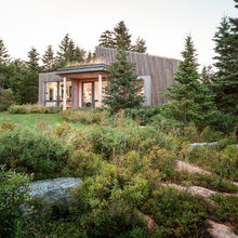 Mini Modern Woodland