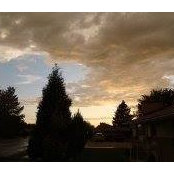 Summer Skys foto