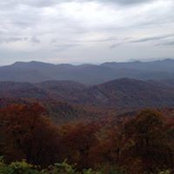 Erika Martin's photo