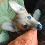 Jacqueline Katz's photo