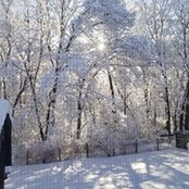 Carol Young's photo