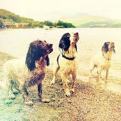 Foto di Shonagh Bell