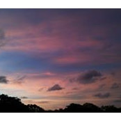 Jason Chan's photo