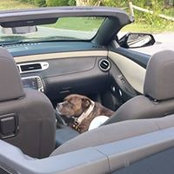 Tammy Casey's photo