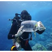 Brian Greene's photo