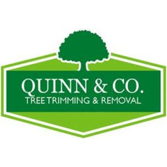 Quinn & Co.