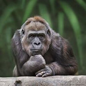 Kent Heindel's photo