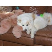 Sandi Dunn's photo
