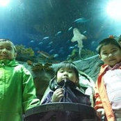 Jeffrey Tan's photo