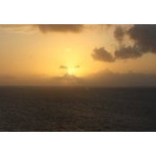 Adam Van der Vleuten's photo
