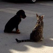 Nicholas Votto's photo