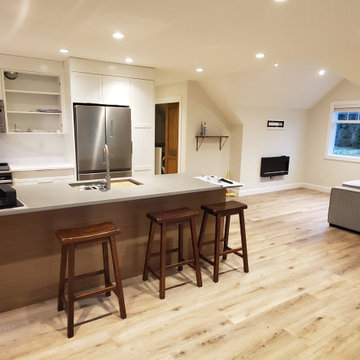 Langley Income Suite Renovation