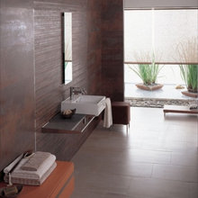 basement bathroom