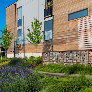 Magnolia Modern