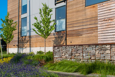 Inspiration for a mid-sized contemporary front yard full sun xeriscape in Seattle with a retaining wall and concrete pavers.