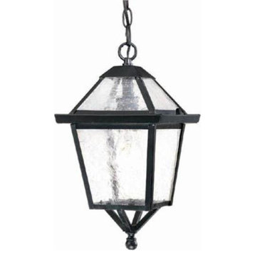 Acclaim Lighting 7616BK Charleston, 1-Light Outdoor Hanging Lantern, 8"