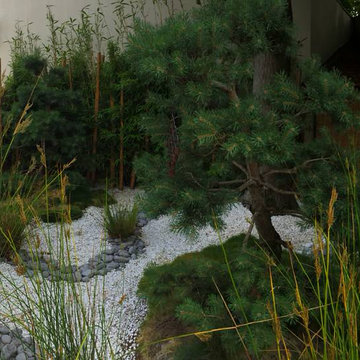 jardin zen et  japonais