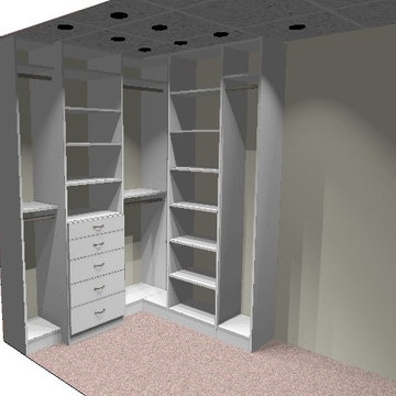 Walk-in Closet II