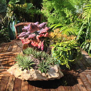 Container gardens