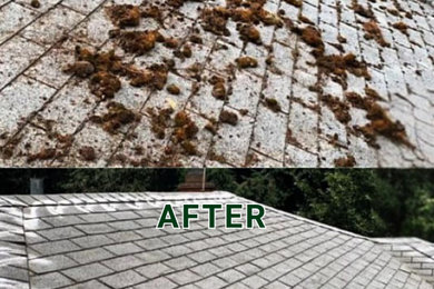 Residential Shingle Roof Moss Cleaning Before & After by Rip City in Portland, O