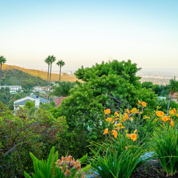 Pacific Palisades Hillside Serenity