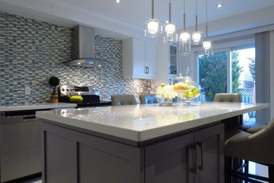 Kitchen - transitional kitchen idea in Toronto
