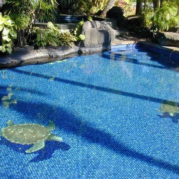 Sea Turtle Pool Tile Design for Paul Mitchell estate, Thank you Angus!