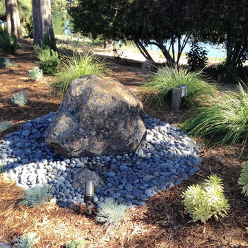 Marin Grasses and Succulents Garden