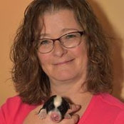 Robin Illchuk's photo