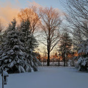 Michael Rand's photo