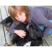 Anne Langille's photo