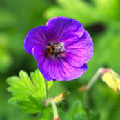 Foto von Gill Archer