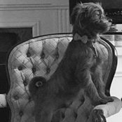 Wendy W. Cooper's photo