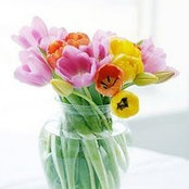 sumana's photo