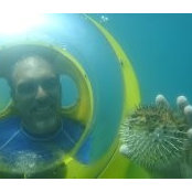 Richard Clutter's photo