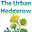 The Urban Hedgerow