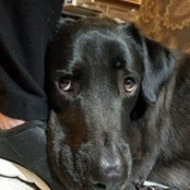 Keith Oehlert's photo