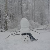 Robin Reynolds's photo
