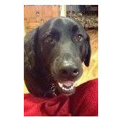 Marilyn Kipp's photo