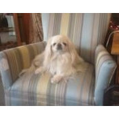 Cindy Compton's photo