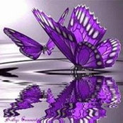 Kathleen Davis's photo