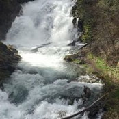 Sean Miles's photo