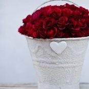 Ronell de Villiers's photo