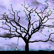 Aimee Pope's photo
