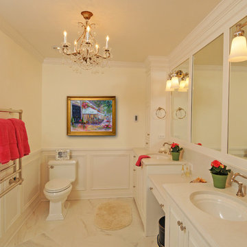 Elegant Bath - Wheaton, IL