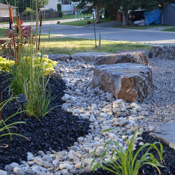 New yard Design