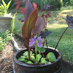 Water Gardening - Outdoor Fountain And Pond Accessories