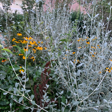 GIARDINO di design naturalistico