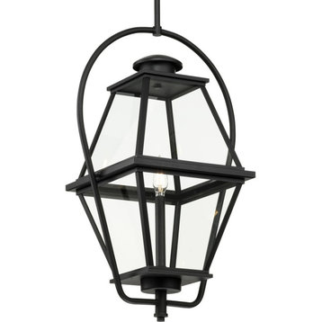 Bradshaw Collection 1-Light Textured Black Clear Glass Outdoor Hanging Lantern